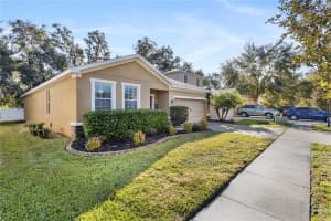 8602 TIDAL BREEZE DRIVE, RIVERVIEW, FL 33569 - MLS#MFRTB8462320