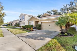8602 TIDAL BREEZE DRIVE, RIVERVIEW, FL 33569 - MLS#MFRTB8462320