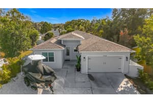 1306 LEMON STREET, TARPON SPRINGS, FL 34689 - MLS#MFRTB8462346