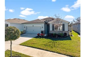 1094 Manzanar Pl, WESLEY CHAPEL