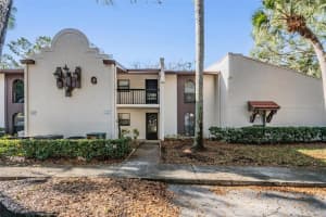 3505 TARPON WOODS BOULEVARD, PALM HARBOR, FL 34685 - MLS#MFRTB8462428
