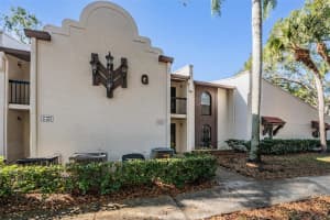 3505 TARPON WOODS BOULEVARD, PALM HARBOR, FL 34685 - MLS#MFRTB8462428