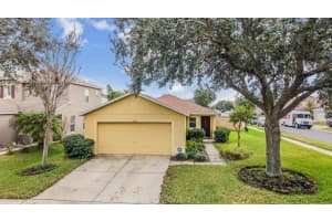 9520 Simeon Dr, LAND O LAKES