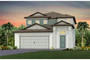 11346 Meadow River Way, PARRISH