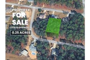 1217 FAN DRIVE, CITRUS SPRINGS, FL 34434 Sold 01/30/26