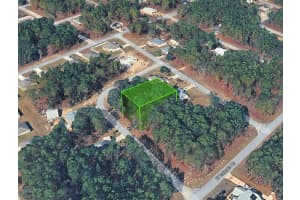 1217 FAN DRIVE, CITRUS SPRINGS, FL 34434 Sold 01/30/26