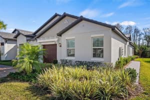 16890 FORGE SURF STREET, LAND O LAKES, FL 34638 - MLS#MFRTB8462566