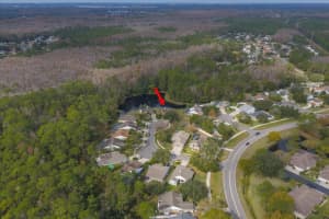 5650 BRIDGETON COURT, PALM HARBOR, FL 34685 - MLS#MFRTB8462568