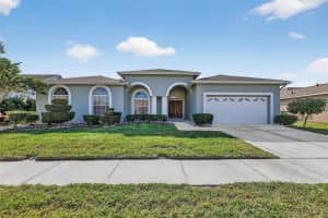 28244 Brokenmead Path, WESLEY CHAPEL