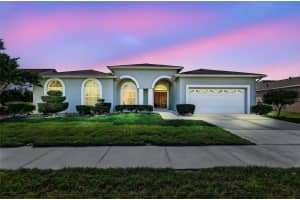 28244 BROKENMEAD PATH, WESLEY CHAPEL, FL 33543 - MLS#MFRTB8462577