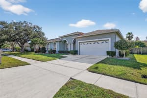 28244 BROKENMEAD PATH, WESLEY CHAPEL, FL 33543 - MLS#MFRTB8462577