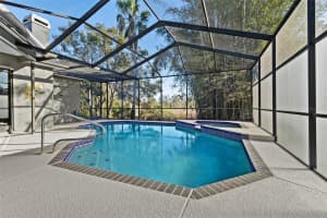 23048 PRESERVE COURT, LUTZ, FL 33549 - MLS#MFRTB8462609
