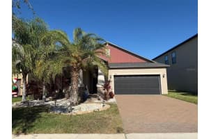 9909 VICTORY GALLOP LOOP, RUSKIN, FL 33573 - MLS#MFRTB8462621