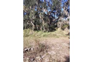 MLS# MFRTB8462629, Wimauma, Florida 33598