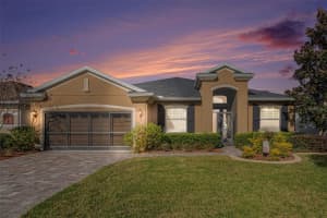 29325 GRASS BUNKER DRIVE, SAN ANTONIO, FL 33576 - MLS#MFRTB8462643