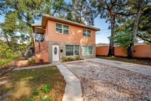 1402 E 28th Ave, TAMPA
