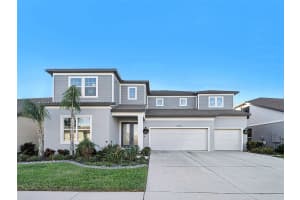 12923 WILLOW GROVE DRIVE, RIVERVIEW, FL 33579 - MLS#MFRTB8462764