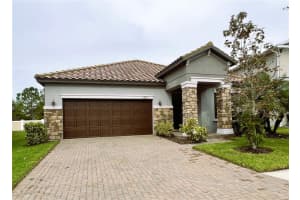 11822 Frost Aster Dr, RIVERVIEW