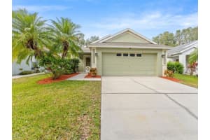 5041 Prairie View Way, WESLEY CHAPEL
