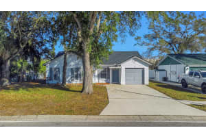 101 BAYSIDE BOULEVARD, OLDSMAR, FL 34677 - MLS#MFRTB8462812