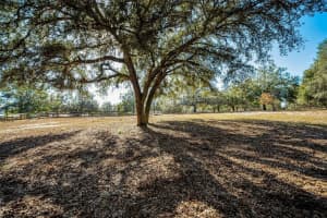 XXX TRILBY TRAILS TRAIL, DADE CITY, FL 33523 - MLS#MFRTB8462818