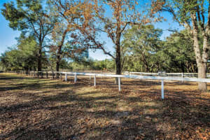 XXX TRILBY TRAILS TRAIL, DADE CITY, FL 33523 - MLS#MFRTB8462818