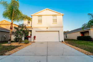 253 CASCADE BEND DRIVE, RUSKIN, FL 33570 - MLS#MFRTB8462842