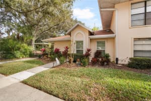 314 KNOTTWOOD COURT, SUN CITY CENTER, FL 33573 - MLS#MFRTB8462878