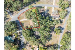 34745 GARDENIA WAY, DADE CITY, FL 33523 - MLS#MFRTB8462890