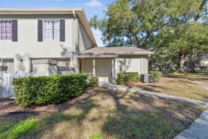 MLS# MFRTB8462905, Temple Terrace, Florida 33617