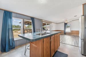 1660 BELMONT WOODS DRIVE, MULBERRY, FL 33860 - MLS#MFRTB8462925