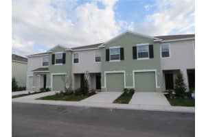 17212 BIGLEAF MAHOGANY LANE, LAND O LAKES, FL 34638 - MLS#MFRTB8462939