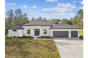 2291 FAYSON LANE, SPRING HILL, FL 34609 - MLS#MFRTB8462941