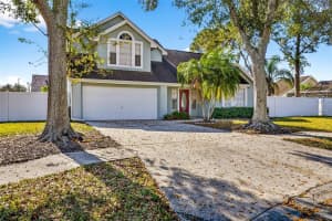 6606 Terrapin Ct, TAMPA