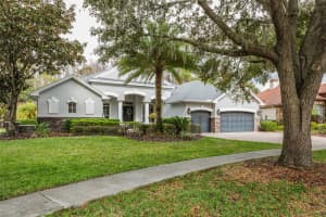 21111 LAKE VIENNA DRIVE, LAND O LAKES, FL 34638 - MLS#MFRTB8463011