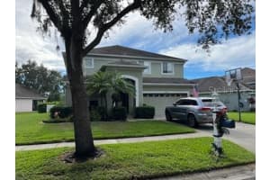 19138 CYPRESS GREEN DRIVE, LUTZ, FL 33558 - MLS#MFRTB8463076