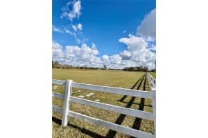 SINGLETARY RD, MYAKKA CITY, FL 34251 - MLS#MFRTB8463100