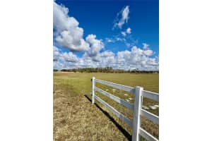 SINGLETARY RD, MYAKKA CITY, FL 34251 - MLS#MFRTB8463100
