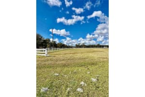 SINGLETARY RD, MYAKKA CITY, FL 34251 - MLS#MFRTB8463100