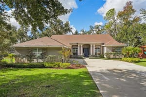 11325 HIDDEN VALLEY LANE, RIVERVIEW, FL 33569 - MLS#MFRTB8463102