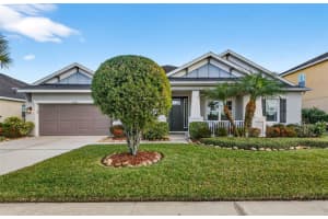 27020 Evergreen Chase Dr, WESLEY CHAPEL