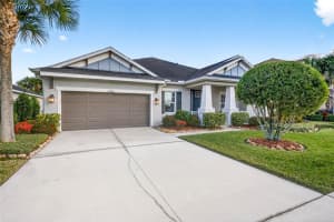 27020 EVERGREEN CHASE DRIVE, WESLEY CHAPEL, FL 33544 - MLS#MFRTB8463155
