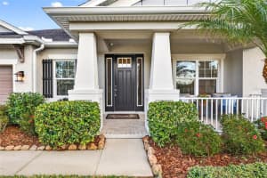 27020 EVERGREEN CHASE DRIVE, WESLEY CHAPEL, FL 33544 - MLS#MFRTB8463155