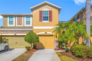 12512 Shirebrook Ct, TAMPA