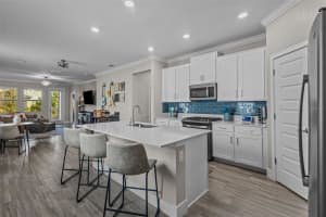 17999 FENDERS WAY, LAND O LAKES, FL 34638 - MLS#MFRTB8463291