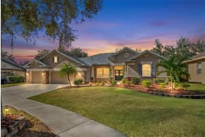 15321 VIREOGLEN LANE, LITHIA, FL 33547 - MLS#MFRTB8463294