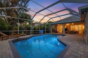 15321 VIREOGLEN LANE, LITHIA, FL 33547 - MLS#MFRTB8463294