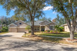 15321 VIREOGLEN LANE, LITHIA, FL 33547 - MLS#MFRTB8463294