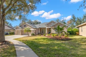 15321 VIREOGLEN LANE, LITHIA, FL 33547 - MLS#MFRTB8463294