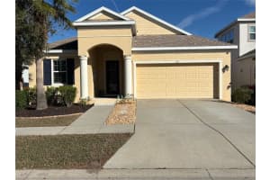 211 Shell Creek Ct, APOLLO BEACH